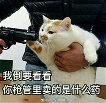 很多人可能不知道楼楼的名字却一定用过它的表情包