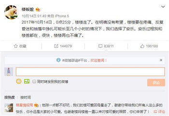 很多人可能不知道楼楼的名字却一定用过它的表情包