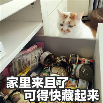 很多人可能不知道楼楼的名字却一定用过它的表情包