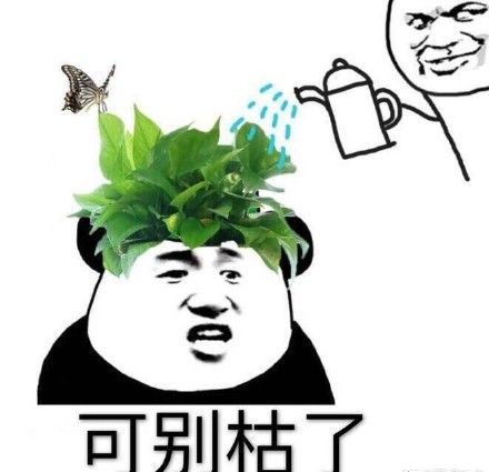 绿帽社是什么梗 绿帽社表情包大全