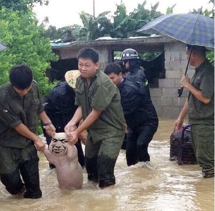 网红小猪表情包是怎么火的 网红小猪表情包搞笑大全