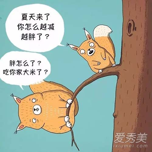 减肥为什么瘦不下去 减肥瘦不下什么原因