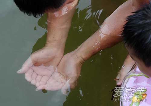 义乌发现桃花水母图片 桃花水母是什么