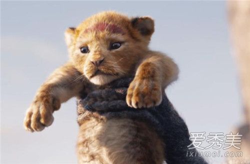真人版狮子王什么时候上映 定档2019年内地有望引进