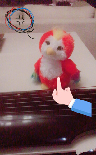 楚乔传苍梧鸟是什么品种？