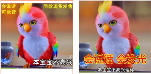 楚乔传苍梧鸟是什么品种？