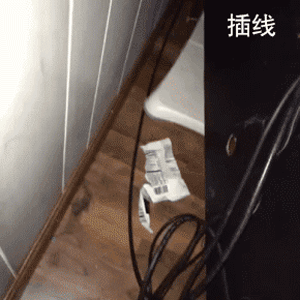 养猫有什么用 养猫前日用猫一时gif