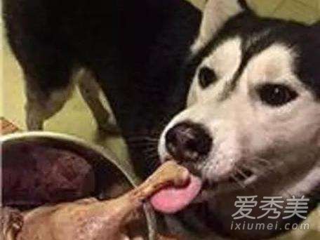 建国后不许成精是什么意思?建国后不许成精是什么梗?