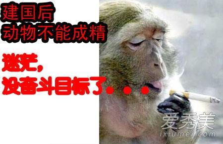 建国后不许成精是什么意思?建国后不许成精是什么梗?