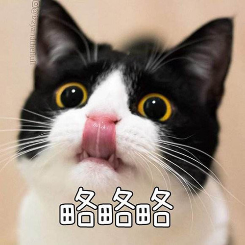 吸猫什么意思?吸猫什么梗?