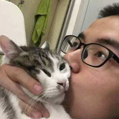 吸猫什么意思?吸猫什么梗?