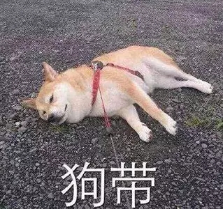 翻水水是什么意思?翻水水是什么梗?