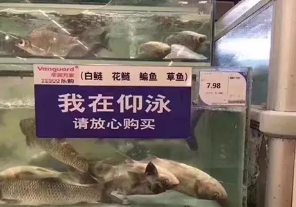 翻水水是什么意思?翻水水是什么梗?