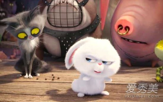 爱宠大机密2什么时候上映 爱宠大机密电影好看吗
