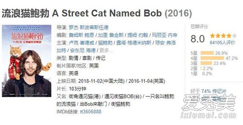 流浪猫鲍勃豆瓣评分 流浪猫鲍勃影评