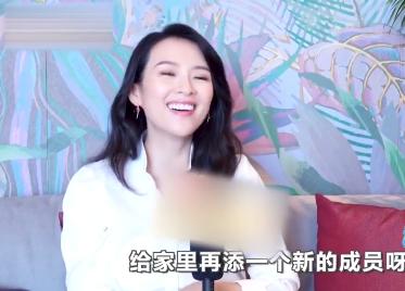 二胎梗再次上线！章子怡第4次被传怀二胎这次是真的吗？