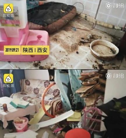网红李艾佳是谁 网红李艾佳租房留满屋狗屎事件始末