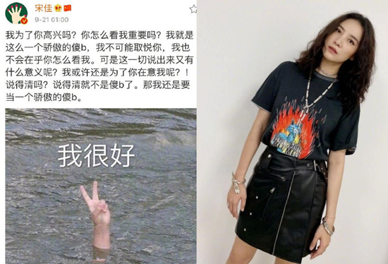 宋佳秒删了什么 宋佳在娱乐圈算几线