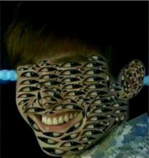 张翰的眼睛是什么意思 张翰满脸都是眼睛的图片