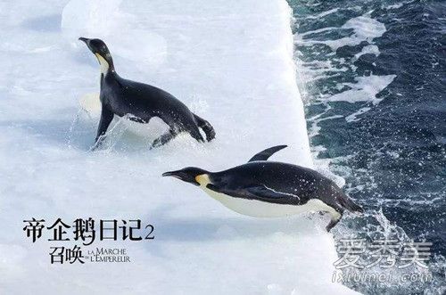 帝企鹅日记2主要讲的什么 帝企鹅日记2豆瓣评分多少