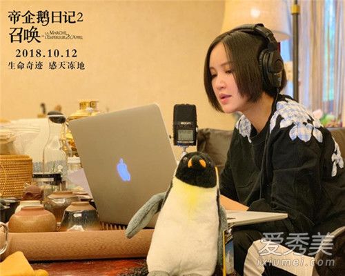 帝企鹅日记2主要讲的什么 帝企鹅日记2豆瓣评分多少