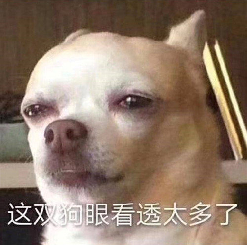 金晨疑回应分手 配图这双狗眼看透太多了的表情