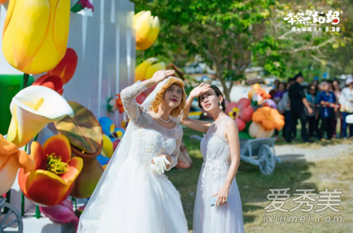 李茶的姑妈主题曲叫什么 李茶的姑妈主题曲出现歌词