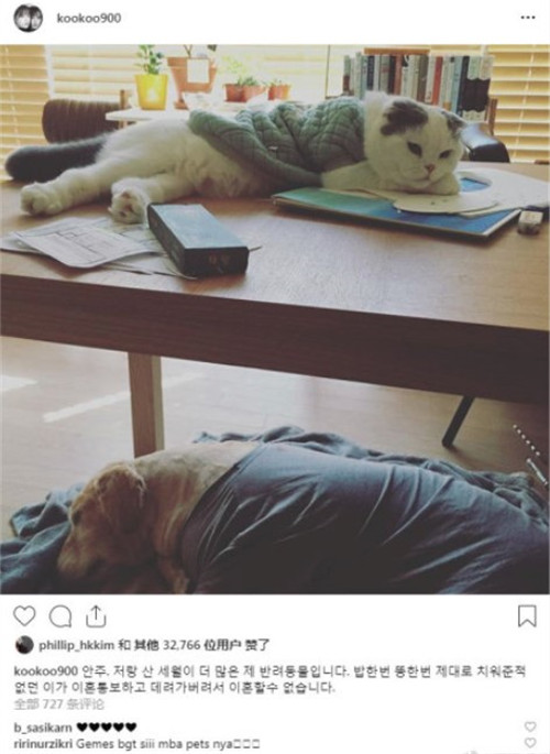 具惠善不想离婚的原因是什么 具体什么情况