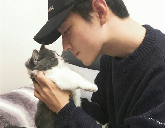 肖战的猫叫什么名字 肖战的猫是什么种类的
