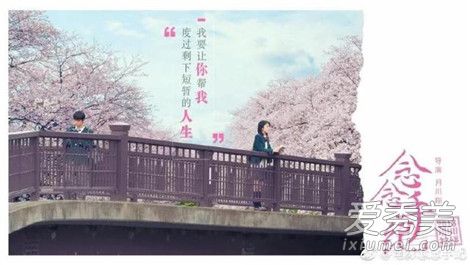念念手纪电影好看吗 念念手纪剧情介绍