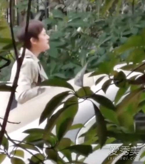 孙俪请求停止偷拍 这到底是个什么情况？