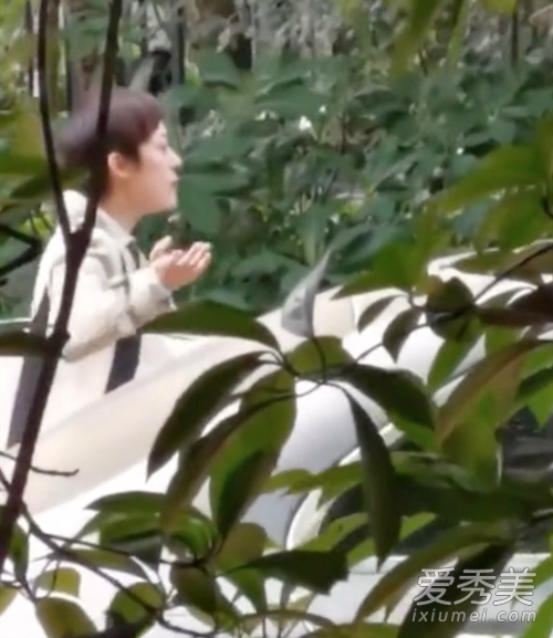 孙俪请求停止偷拍 这到底是个什么情况？