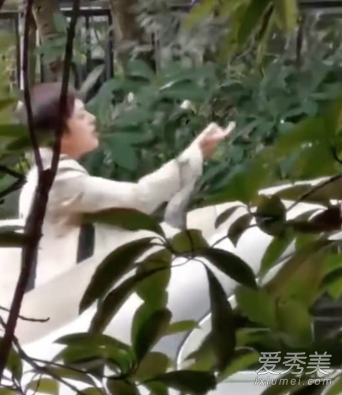 孙俪请求停止偷拍 这到底是个什么情况？