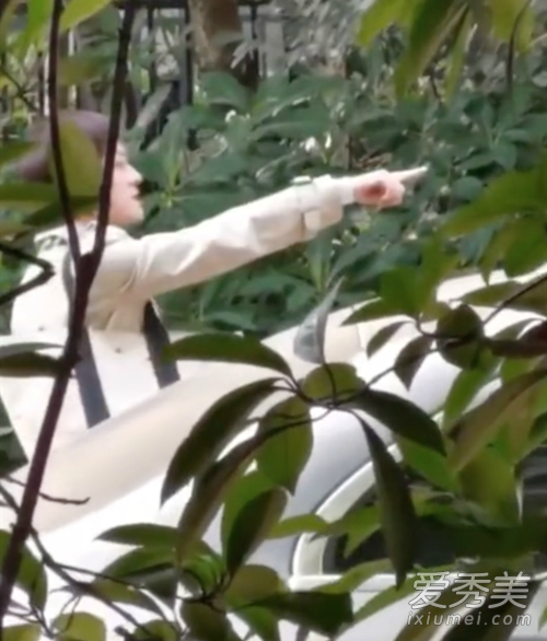 孙俪请求停止偷拍 这到底是个什么情况？