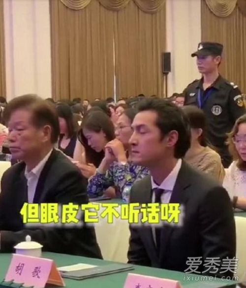 胡歌真的困了怎么回事 胡歌真的困了什么情况