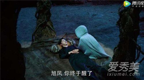 香蜜沉沉烬如霜旭凤穗禾成亲了吗 旭凤穗禾有没有双修