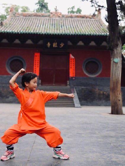 乐嘉送女儿上少林怎么回事 乐嘉送女儿上少林什么原因