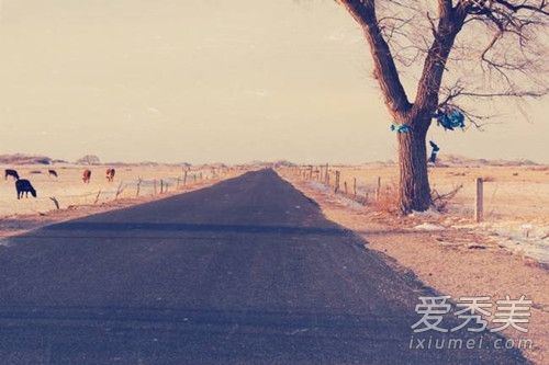 抖音你要走就千万别回头是什么歌 骏马谣歌词完整版