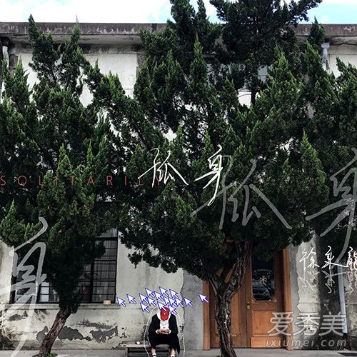 我总是一个人从午夜到清晨是什么歌 歌词完整版介绍