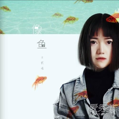 王贰浪像鱼想表达什么 王贰浪像鱼歌词含义