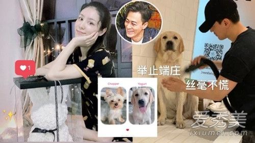 林峯求婚钻戒 重量9.18克拉的钻戒暗藏深意？