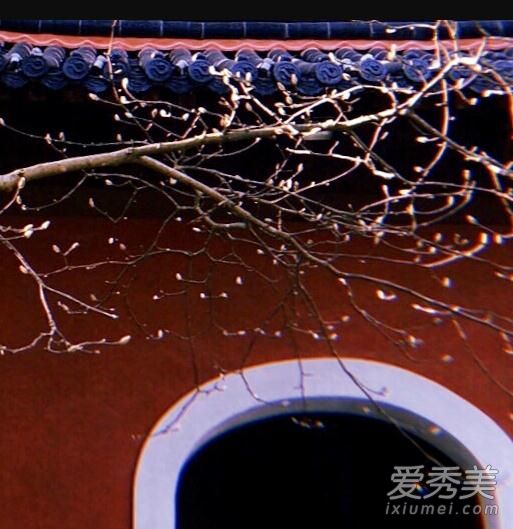 抖音看着天边死在眼前是什么歌 起风了歌词完整版介绍