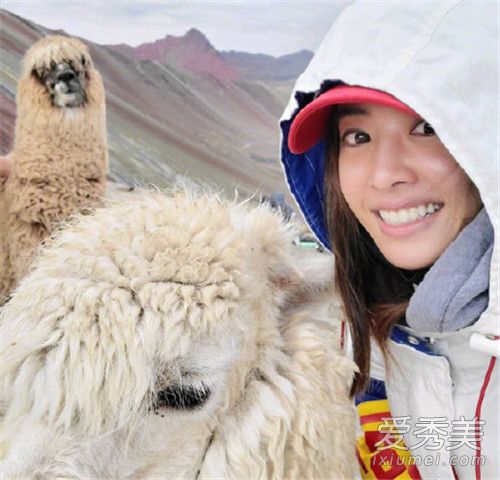 蔡依林当挡婚大使 这到底是个什么梗？