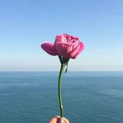岁月无法停留流云的等候是什么歌原唱是谁 岁月无法停留流云的等候歌词
