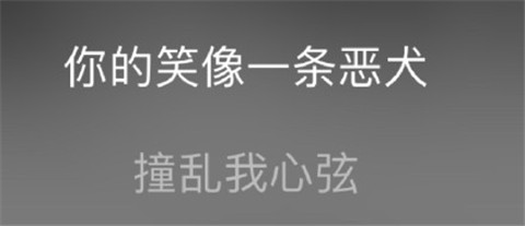 你的笑像条恶犬是什么歌 你的笑像条恶犬是什么意思