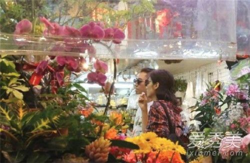 毕滢点赞洪欣微博 毕滢点赞什么微博这是怎么回事？