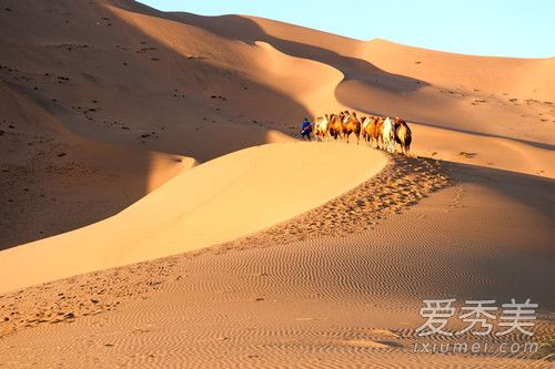 沙漠骆驼原唱是谁 沙漠骆驼歌词是什么意思