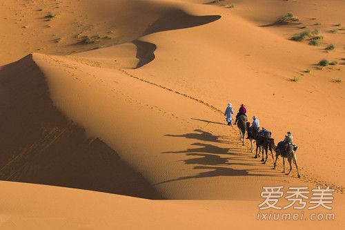 沙漠骆驼原唱是谁 沙漠骆驼歌词是什么意思