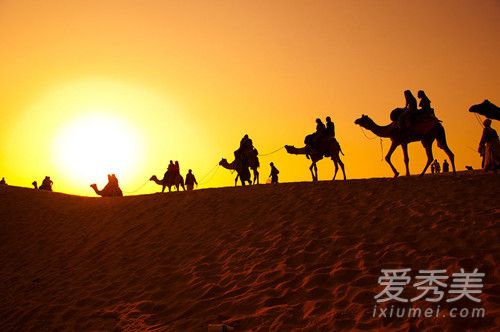 沙漠骆驼是民谣吗 沙漠骆驼歌词的意思含义介绍