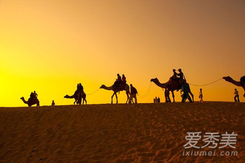 沙漠骆驼是民谣吗 沙漠骆驼歌词的意思含义介绍